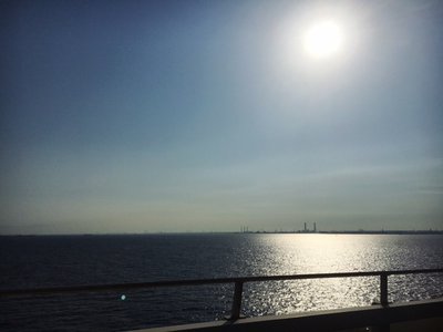 カリウム、204 - 画像2