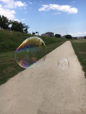 知足、206 - 画像2
