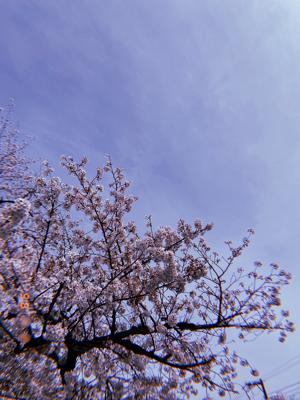毎週火曜23時は、、！ - 画像4