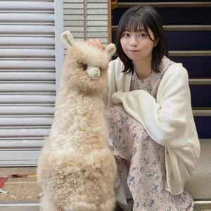 アルぱか　中西アルノのサムネイル