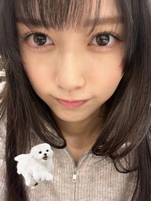 てれぱんは元気です＼(^^)／のサムネイル