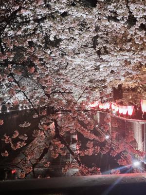 最近のこと⛸🌸　　川﨑桜 - 画像2
