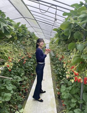 苺の詩       五百城茉央 #きっきのにっきのサムネイル