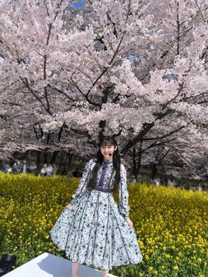 最近のプレイリスト🎧🌸　　川﨑桜のサムネイル