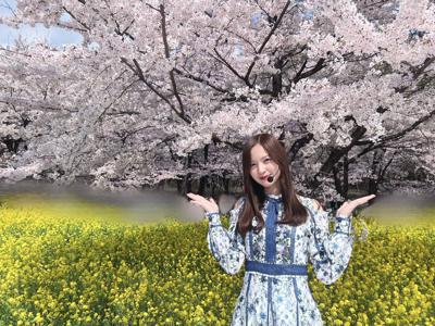 お花だよ〜〜〜🌸🌼　金川紗耶のサムネイル