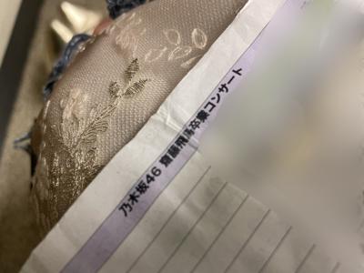 白鳥のように飛び立った大先輩へ    五百城 茉央   #きっきのにっきのサムネイル