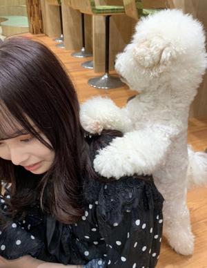 スタンダード岩手さんで連載スタートです！！のサムネイル