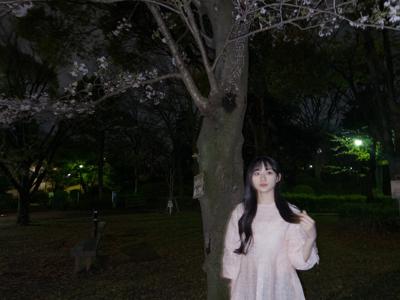 夜桜みれたよ🌸　　　川﨑桜 - 画像1