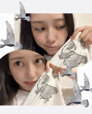 鳩ロール #鳩のサムネイル