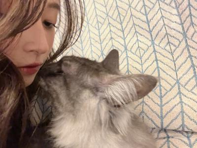猫猫のサムネイル