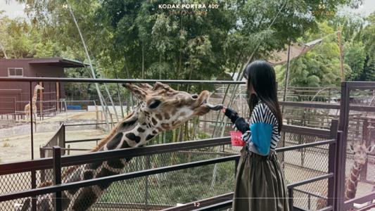 麟として時雨のサムネイル