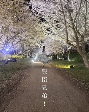 茶々のサムネイル