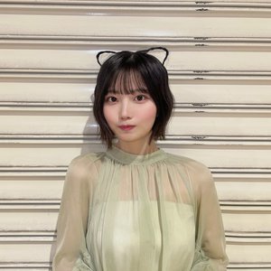 猫の恋のサムネイル