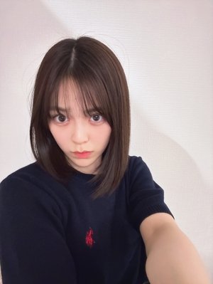 最近、白の芍薬ばかり買ってしまうのサムネイル
