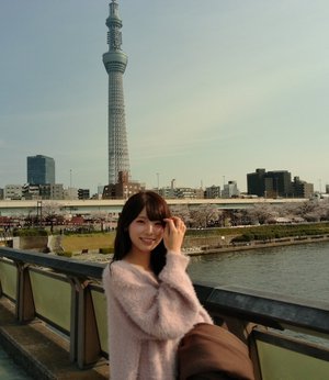 春になったらのサムネイル
