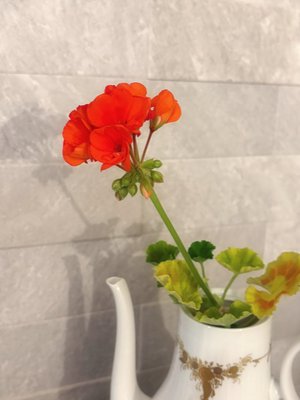 信頼 - 画像2