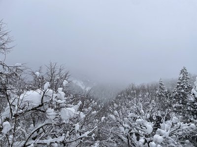 Back to Fukui！ - 画像2