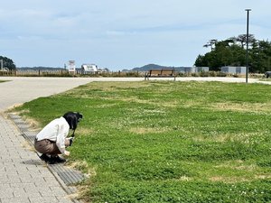 ナイショ - 画像4