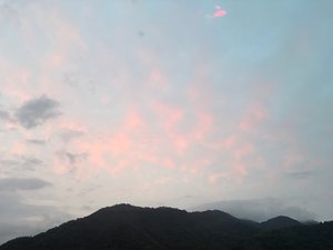 スズ太郎になりました - 画像3