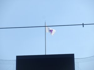 2026神宮！！🎆 - 画像3