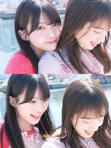 季節遅れの桜 - 画像2