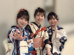 ひまわり - 画像3