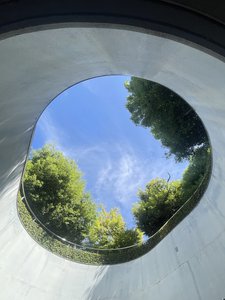 牛タンと揚げもみじ - 画像4