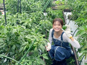 さつまいろ、さつまいも - 画像4