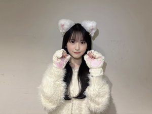 白猫、現るのサムネイル