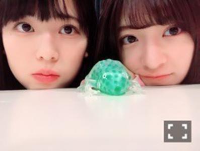 もこもこひつじちゃんのサムネイル