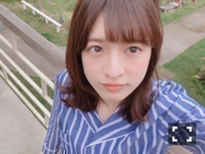 歩道脇のツツジのサムネイル