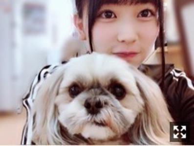 ありがとうございますのサムネイル
