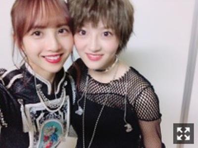 ピンクのガーベラ  119.のサムネイル