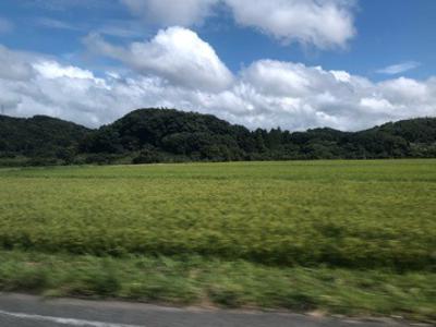 答え合わせのサムネイル