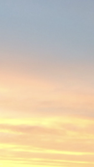自販機の明かりの眩しさに目を泳がす、あの夏の夜。 北川悠理のサムネイル