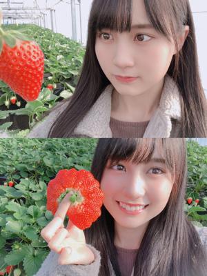 いちごの日( ˙*˙ ) 賀喜 遥香のサムネイル