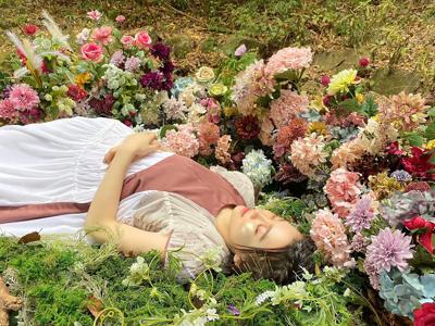 儚さの世界のサムネイル