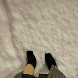 始め！ - 画像4