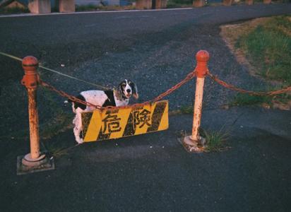 良い連休を～ - 画像2