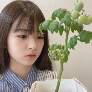 悲しみのトマト　小川彩 - 画像3