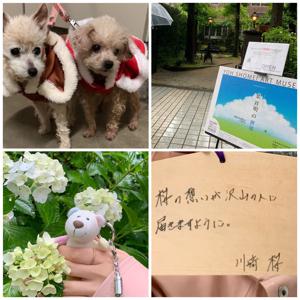 how to 雨の日の過ごし方☔️🌸　川﨑桜 - 画像2