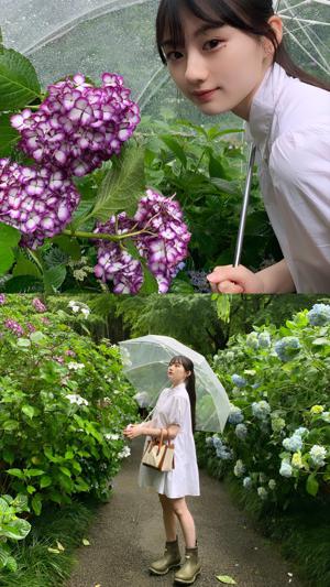 how to 雨の日の過ごし方☔️🌸　川﨑桜 - 画像3