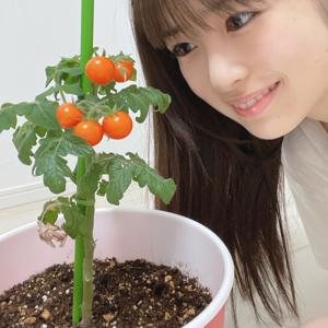 イチ！ゴ！　小川彩 - 画像5
