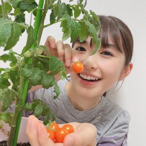 福岡の現在の気温34℃です　小川彩 - 画像5