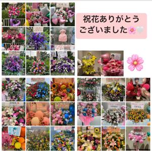 色褪せない思い出🌸　川﨑桜 - 画像4