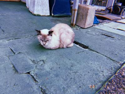 今日はスープ - 画像2