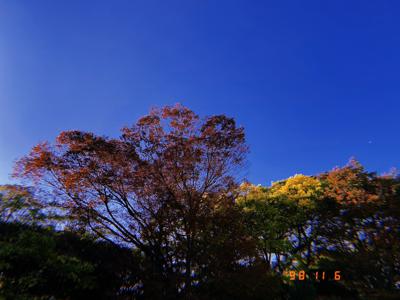 微笑む瞳の - 画像4