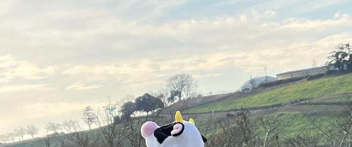 5期生の約半分がわたしの乃木メをとっているらしいです。 - 画像3