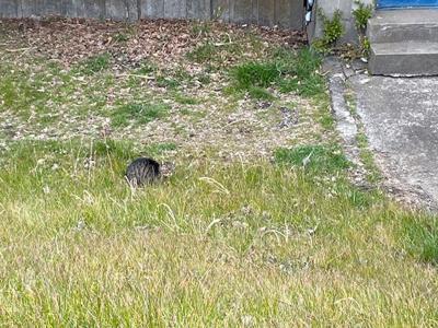 サイコーーー！さぁ行こう！#あーやぶろぐ#AYAblog - 画像4