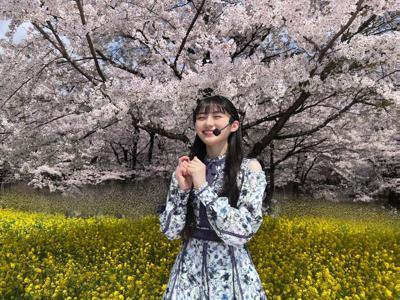 最近のプレイリスト🎧🌸　　川﨑桜 - 画像2